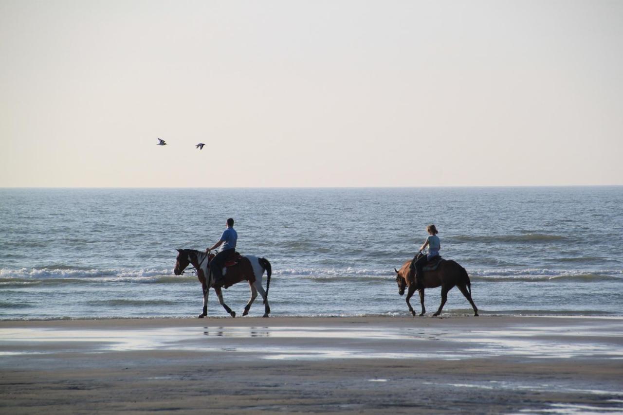 Hotel Ney Norderney